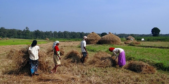 farm